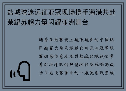 盐城球迷远征亚冠现场携手海港共赴荣耀苏超力量闪耀亚洲舞台